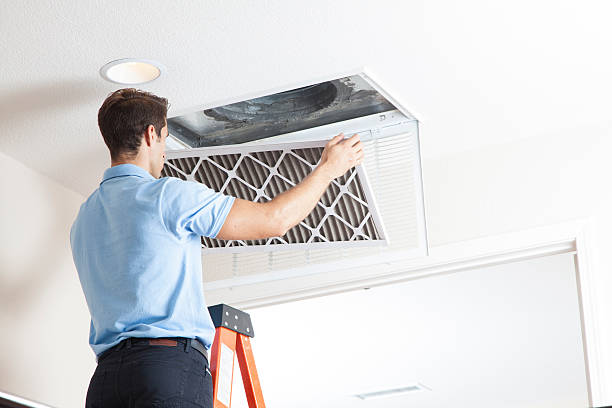 Best Air Filters and Purifiers in Cambridge, WI